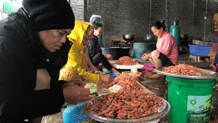 Nghề tay nhanh là tiền nhiều, chị em cứ rảnh là vào việc kiếm tiền tươi ngay tại cảng cá