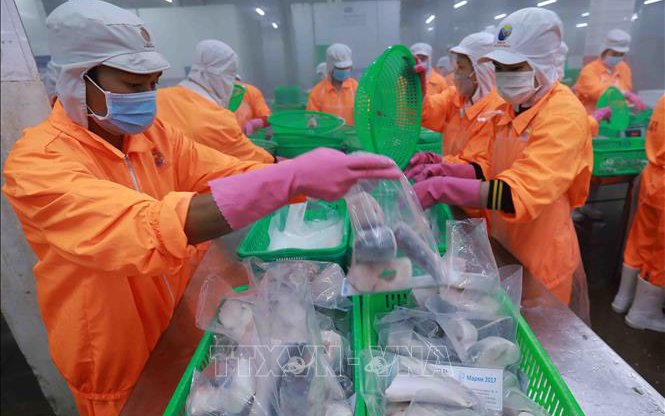 Báo Đức ca ngợi đường lối và chính sách hiệu quả của Việt Nam