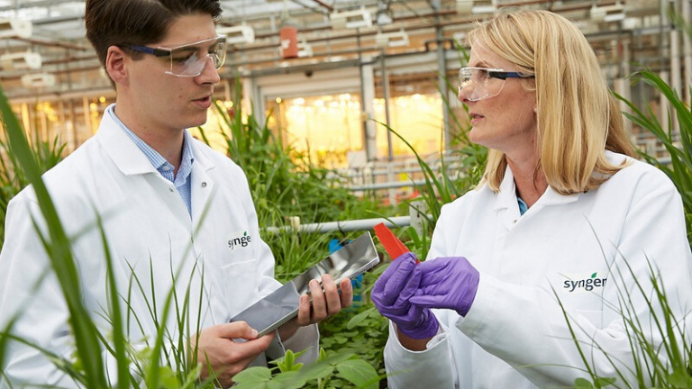 Syngenta được trao tặng 5 giải thưởng về khoa học cây trồng