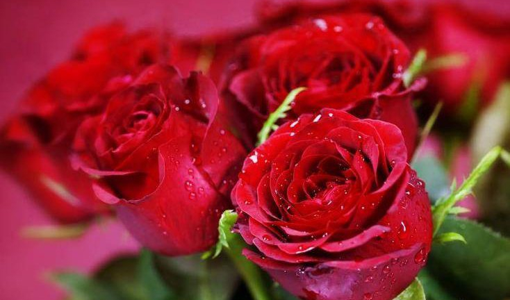Nóng tính nhưng tốt bụng, 3 con giáp có tương lai đủ đầy, sung túc