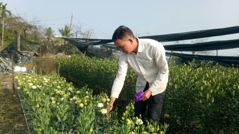 Bôn ba học nghề trồng hoa, một nông dân ở Thanh Hóa lãi 400-500 triệu, tạo việc làm, lương tốt cho 6 lao động