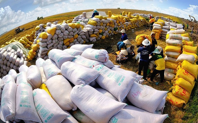 Các 'ông lớn' ngành gạo PAN, LTG, TAR làm ăn thế nào trước biến động thị trường?