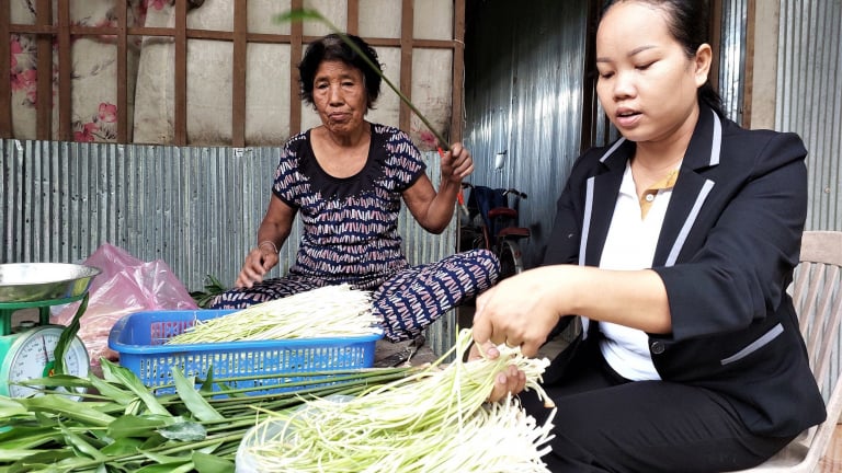 Chuyện lạ Kiên Giang, trồng cây dại nhổ ngó non bán, cả làng kiếm bộn tiền