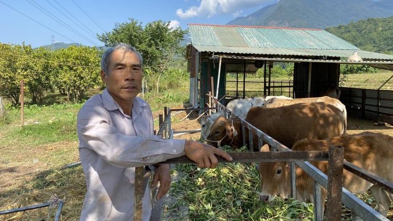 Tạo việc làm, tăng thu nhập cho nông dân bằng các mô hình 'cầm tay chỉ việc' ở huyện Nậm Nhùn của Lai Châu