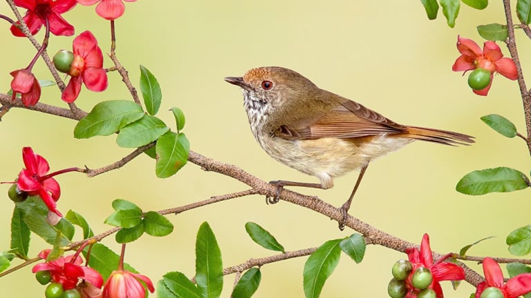 Ai sinh ngày Âm lịch này tự lực tự cường, kiếm tiền suôn sẻ, thành công trước tuổi trung niên