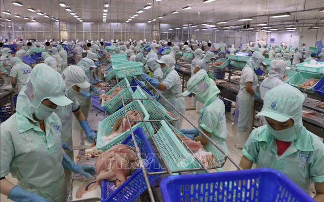 Thủy sản nắm bắt thời cơ thị trường