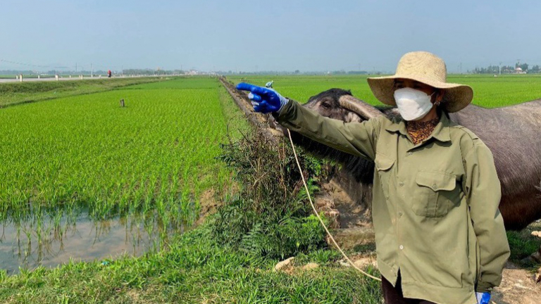 Chuyên gia cảnh báo 'dễ mua khó bán' khi giá bất động sản tăng vù vù