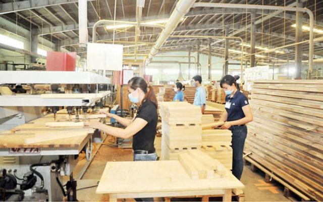 Nguyên liệu bấp bênh, ngành gỗ nhập khẩu quay tìm nguồn nội địa