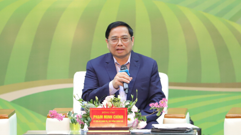 Giá thức ăn chăn nuôi phi mã, nông dân 'treo' chuồng, Thủ tướng chỉ đạo phát triển vùng nguyên liệu ngô, đậu tương