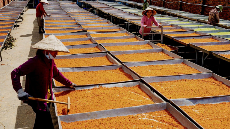 Tây Ninh nổi tiếng muối tôm, dù không có biển, cũng chẳng có tôm