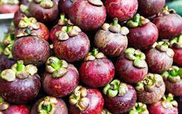 Giá măng cụt, vải thiều, chôm chôm giảm mạnh