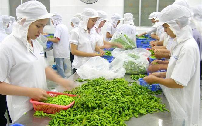 Mỗi dự án chế biến nông lâm thủy sản được hỗ trợ tới 15 tỷ đồng