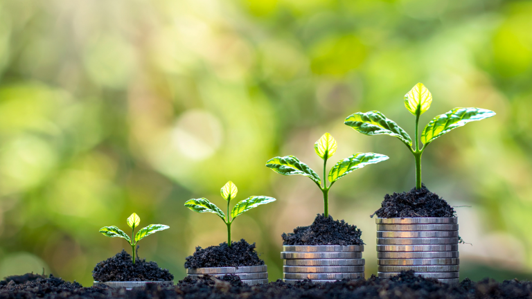 Syngenta Việt Nam - Cty công nghệ nông nghiệp đầu tư vào các dự án xanh thông qua HSBC Việt Nam