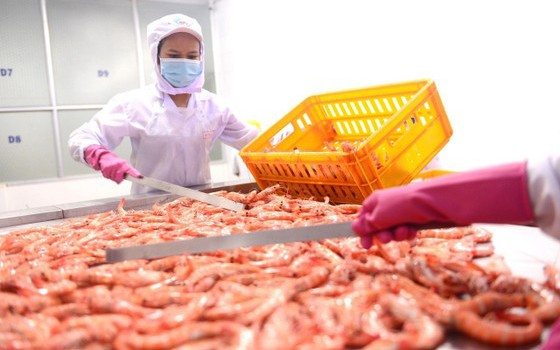 Doanh nghiệp thực phẩm: Kết nối nâng giá trị hàng Việt