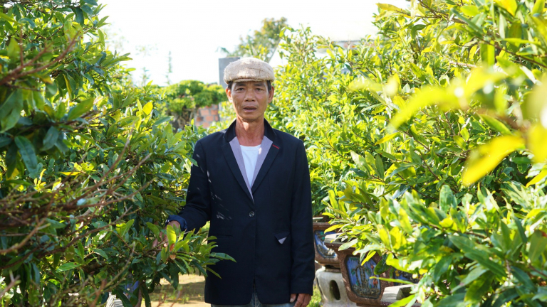 Mai vàng Kon Tum, cây chưa lặt lá hoa đã nở rộ, cả làng xôn xao, ông nông dân này vẫn 'bình chân như vại'