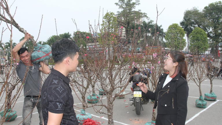 Hoa, cây cảnh Tết Nguyên đán 2023 ở Thái Nguyên: Nhu cầu cao, nhưng giá nào được 'ưng cái bụng'?