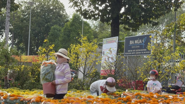 Chiều cuối năm, hoa kiểng hạ giá mạnh