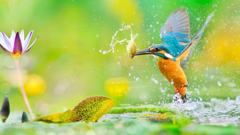 Ai sinh tháng Âm lịch này có IQ xuất sắc, làm gì cũng tỏa sáng rực rỡ, sớm muộn gì cũng giàu có