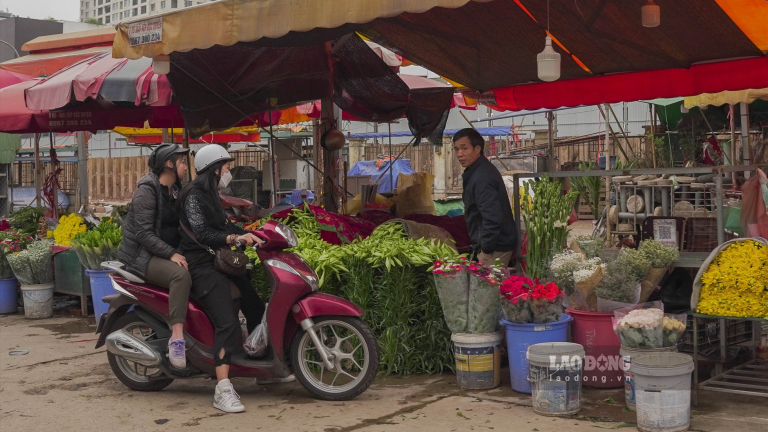 Hoa loa kèn rợp phố Hà Nội, giá giảm một nửa, khách vẫn thờ ơ