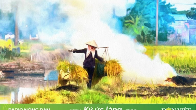 Đồng làng mùa đốt rơm