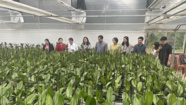 Khảo sát, xây dựng chỉ số đánh giá chất lượng dịch vụ vật tư đầu vào trong sản xuất nông nghiệp tại Thanh Hóa