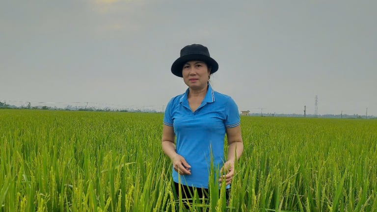 Hội nghị Thủ tướng đối thoại với nông dân: HTX ở Hải Phòng kiến nghị sửa đổi chính sách hỗ trợ sau thiên tai