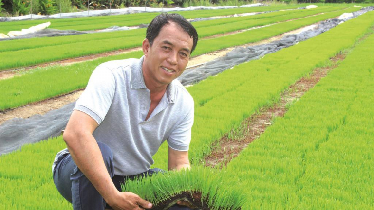 Hai tỷ phú ở An Giang là nông dân, người này trồng lúa Nhật, người kia trồng cây 'tỷ đô', thu tiền tỷ/năm