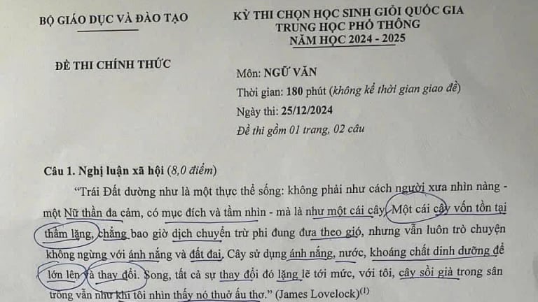 Đề thi Văn chọn học sinh giỏi Quốc gia 2024 có gì mà thí sinh than khó?