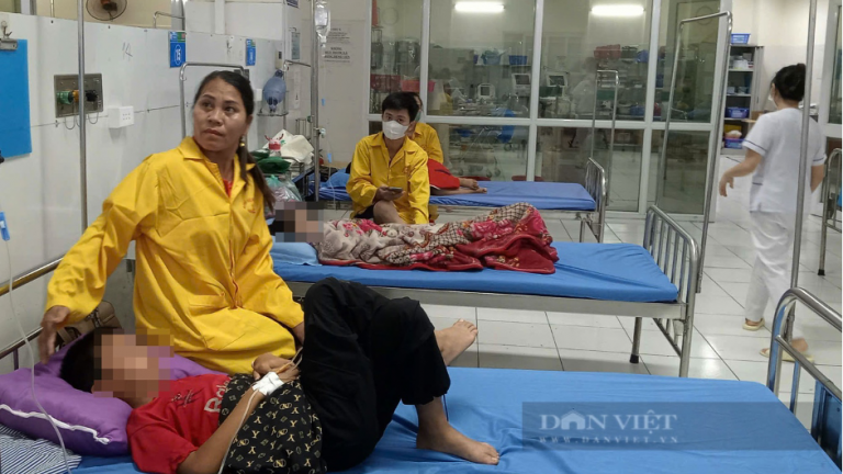 Cấp thiết luật hóa dinh dưỡng học đường