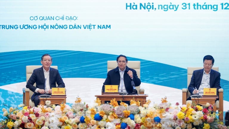 Được nông dân mời 'vi hành', Thủ tướng nhất trí lập đội đặc nhiệm kiểm tra đất nông lâm trường
