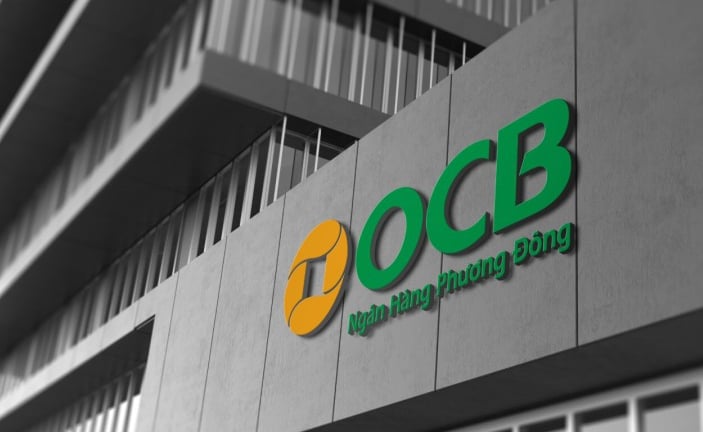 Tháo gỡ khó khăn cùng khách hàng, OCB tăng dự phòng rủi ro, giảm lợi nhuận, bảo đảm hoạt động 