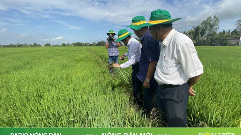 Nông dân mới ngày 09/05/2024