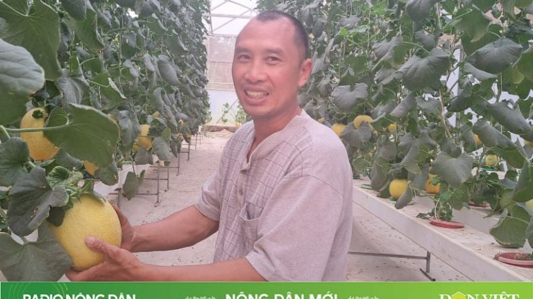 Nông dân mới ngày 16/06/2024