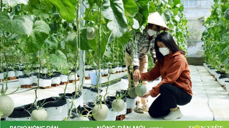 Nông dân mới ngày 05/06/2024
