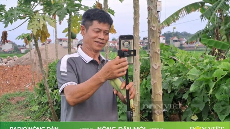 Ông nông dân thành TikToker triệu view