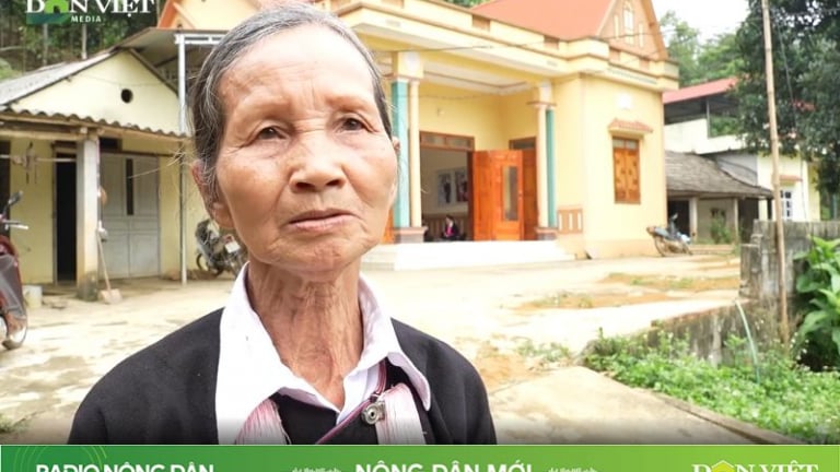 Cụ bà 72 tuổi tiên phong làm kinh tế, giúp đồng bào Dao thoát nghèo