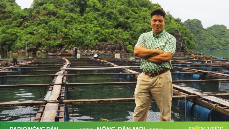 Gặp người 8 tiếng chống bão giữa vịnh Bái Tử Long