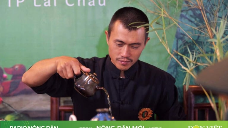 Băng rừng, lội suối lên núi trồng chè hữu cơ