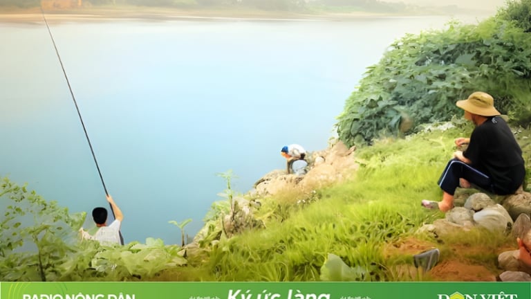 Khi dòng sông đổi màu...