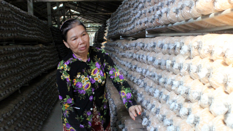 Một chi hội nông dân ở Bình Dương, lập hẳn ban kinh doanh bán hàng trên mạng, 75 thành viên toàn là tỷ phú