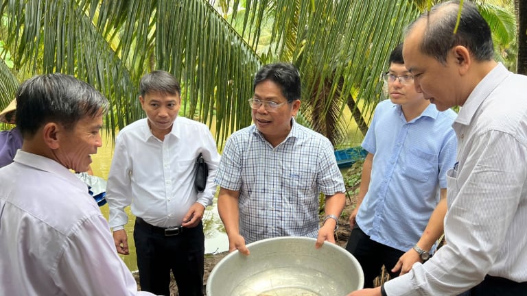 Đầu Xuân 2025 nghe Chuyện làm ăn của những CLB Nông dân tỷ phú đất Bến Tre 