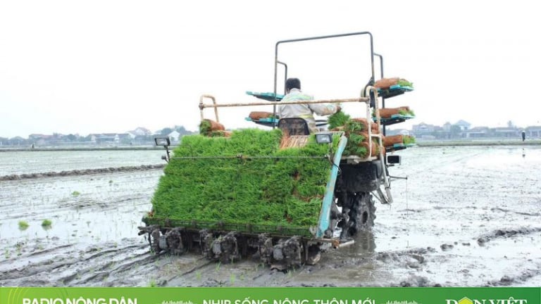 Nhịp sống nông thôn mới ngày 27/01/2025