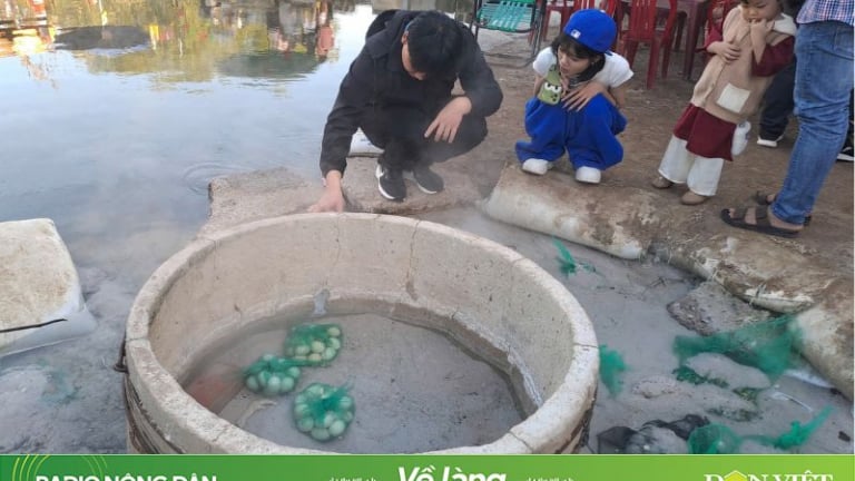 Khám phá bí ẩn dòng suối nóng nhất Việt Nam có thể luộc chín trứng