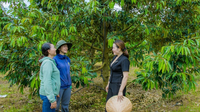 Chủ tịch Hội Nông dân xã ở Đắk Lắk trồng cây đặc sản thành công, 'kéo' hàng xóm cũng giàu lên