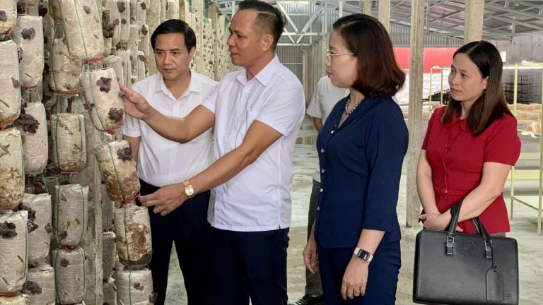 Tỷ phú Nam Định, ở bên Cồn có 2 ông nông dân giàu, một ông trồng 'rau đặc sản', một ông nuôi ốc đặc sản