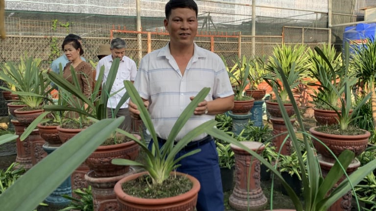 Tỷ phú Hưng Yên là nông dân trồng la liệt lan kiếm đột biến, cây cảnh, được Chủ tịch nước tặng Huân chương