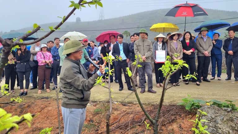Giảm nghèo Ninh Bình, người Mường ở xã này có của ăn của để nhờ nuôi động vật hoang dã, trồng quả đặc sản