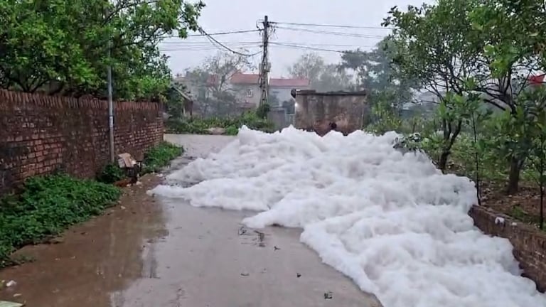 “Dòng sông chết” Bắc Hưng Hải: Hàng nghìn hecta lúa phải canh tác từ nguồn nước bẩn