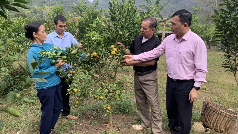 Cây đặc sản ra quả ngon, ông nông dân Lạng Sơn bán hút hàng, xây nhà đẹp khang trang