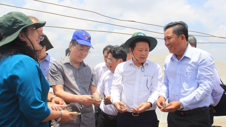 Hội NDVN có 3,61 triệu hộ nông dân giỏi, điển hình tỷ phú Bình Dương, Bến Tre thu nhập chục tỷ/năm
